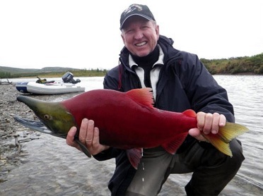 Image credit: http://www.noseeumlodge.com/fly-fishing-alaska/sockeye-salmon